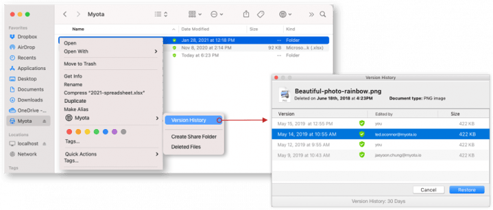 view the version history of a file
