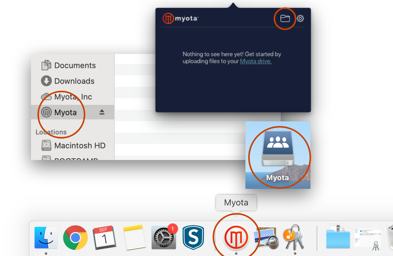 Open Myota